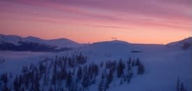 Suchen buchen Suchen buchen